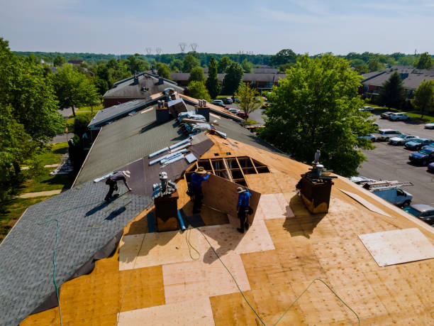 Best Storm Damage Roof Repair  in Baxter Village, SC