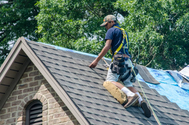 Best Roof Maintenance Services  in Baxter Village, SC
